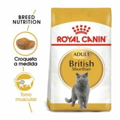 Royal Canin Adult British Shorthair Pienso Para Gatos 2 Kg