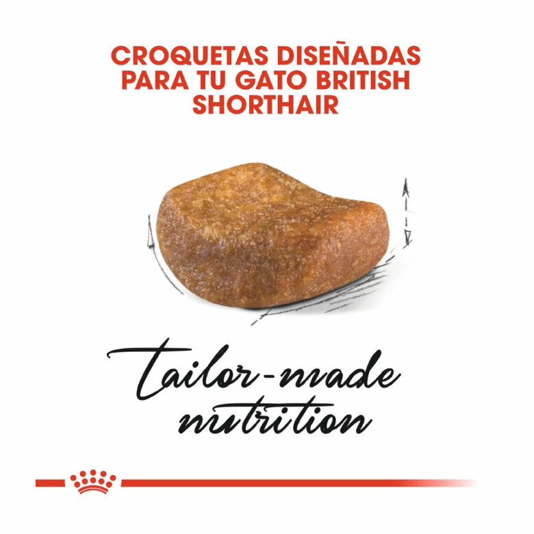 Royal Canin Adult British Shorthair Pienso Para Gatos 10 Kg 4 Royal Canin Adult British Shorthair Pienso Para Gatos 10 Kg - Imagen 4