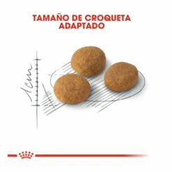 Royal Canin Adult Exigent Aroma Pienso Para Gatos 2kg -Tienda barata Tiendanimal pienso gatos royal20canin exigent aroma ROY317828 M 3