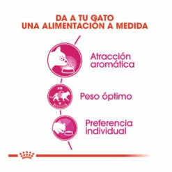Royal Canin Adult Exigent Aroma Pienso Para Gatos 2kg -Tienda barata Tiendanimal pienso gatos royal20canin exigent aroma ROY317828 M 4