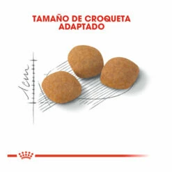 Royal Canin Adult Exigent Protein Pienso Para Gatos 2 Kg 8 Royal Canin Adult Exigent Protein Pienso Para Gatos 2 Kg -Tienda barata Tiendanimal pienso gatos royal20canin exigent protein ROY317628 M 3