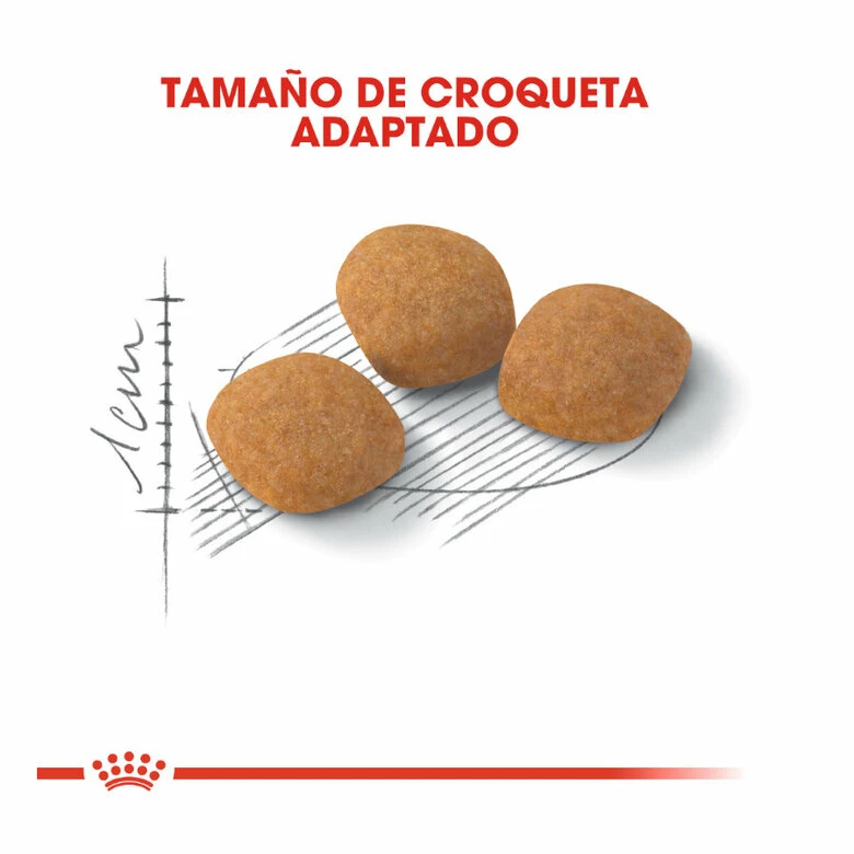 Royal Canin Adult Exigent Protein Pienso Para Gatos 2 Kg 3 Royal Canin Adult Exigent Protein Pienso Para Gatos 2 Kg - Imagen 3