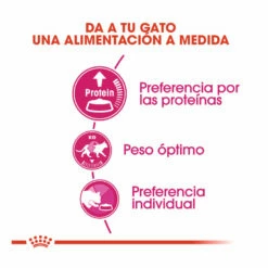 Royal Canin Adult Exigent Protein Pienso Para Gatos 2 Kg 9 Royal Canin Adult Exigent Protein Pienso Para Gatos 2 Kg -Tienda barata Tiendanimal pienso gatos royal20canin exigent protein ROY317628 M 4