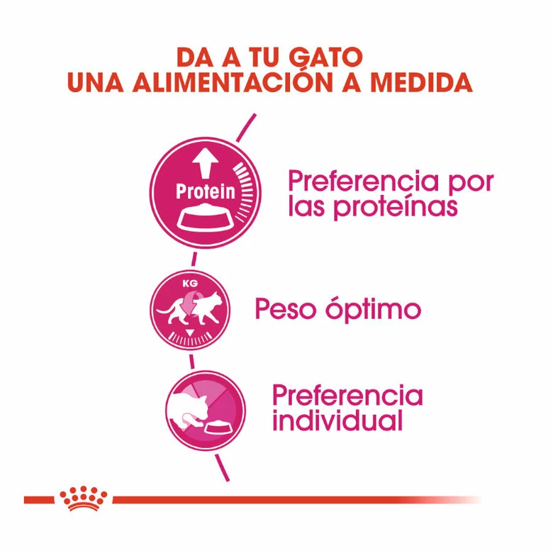 Royal Canin Adult Exigent Protein Pienso Para Gatos 2 Kg 4 Royal Canin Adult Exigent Protein Pienso Para Gatos 2 Kg - Imagen 4