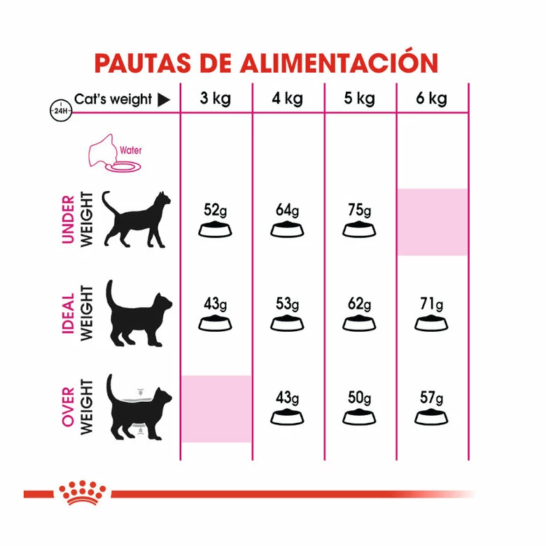 Royal Canin Adult Exigent Protein Pienso Para Gatos 2 Kg 6 Royal Canin Adult Exigent Protein Pienso Para Gatos 2 Kg - Imagen 6