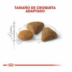 Royal Canin Adult Exigent Savour Pienso Para Gatos 4kg 8 Royal Canin Adult Exigent Savour Pienso Para Gatos 4kg -Tienda barata Tiendanimal pienso gatos royal20canin exigent savour ROY317536 M 3 2