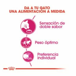 Royal Canin Adult Exigent Savour Pienso Para Gatos 10kg -Tienda barata Tiendanimal pienso gatos royal20canin exigent savour ROY317536 M 4 1
