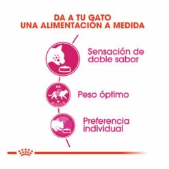 Royal Canin Adult Exigent Savour Pienso Para Gatos 2kg 9 Royal Canin Adult Exigent Savour Pienso Para Gatos 2kg -Tienda barata Tiendanimal pienso gatos royal20canin exigent savour ROY317536 M 4