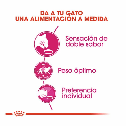 Royal Canin Adult Exigent Savour Pienso Para Gatos 2kg 4 Royal Canin Adult Exigent Savour Pienso Para Gatos 2kg - Imagen 4