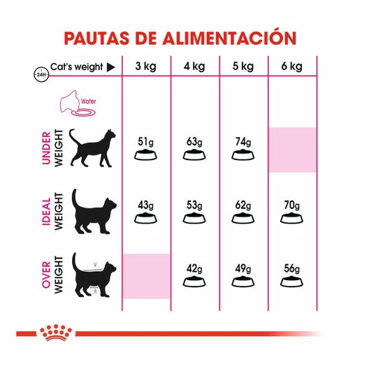 Royal Canin Adult Exigent Savour Pienso Para Gatos 4kg 6 Royal Canin Adult Exigent Savour Pienso Para Gatos 4kg - Imagen 6
