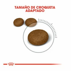 Royal Canin Hair&Skin Pienso Para Gatos 2 Kg -Tienda barata Tiendanimal pienso gatos royal20canin hair2020skin ROY307161 M 5 2