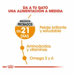 Royal Canin Hair&Skin Pienso Para Gatos 4 Kg 11 Royal Canin Hair&Skin Pienso Para Gatos 4 Kg -Tienda barata Tiendanimal pienso gatos royal20canin hair2020skin ROY307161 M 6