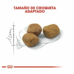 Royal Canin Home Life Indoor 7+ Pienso Para Gatos 3.5kg -Tienda barata Tiendanimal pienso gatos royal20canin home20Life20Indoor 7 ROY312835 M 4 1