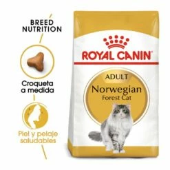 Royal Canin Adult Norwegian Forest Pienso Para Gatos 2 Kg