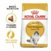 Royal Canin Adult Norwegian Forest Pienso Para Gatos 10kg