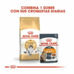 Royal Canin Adult Norwegian Forest Pienso Para Gatos 2 Kg -Tienda barata Tiendanimal pienso gatos royal20canin norwegian20forest20cat ROY309760 M 3 1