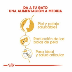 Royal Canin Adult Norwegian Forest Pienso Para Gatos 10kg -Tienda barata Tiendanimal pienso gatos royal20canin norwegian20forest20cat ROY309760 M 6