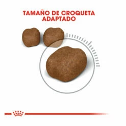 Royal Canin Adult Oral Pienso Para Gatos 8kg 9 Royal Canin Adult Oral Pienso Para Gatos 8kg -Tienda barata Tiendanimal pienso gatos royal20canin oral20care ROY317453 M 4