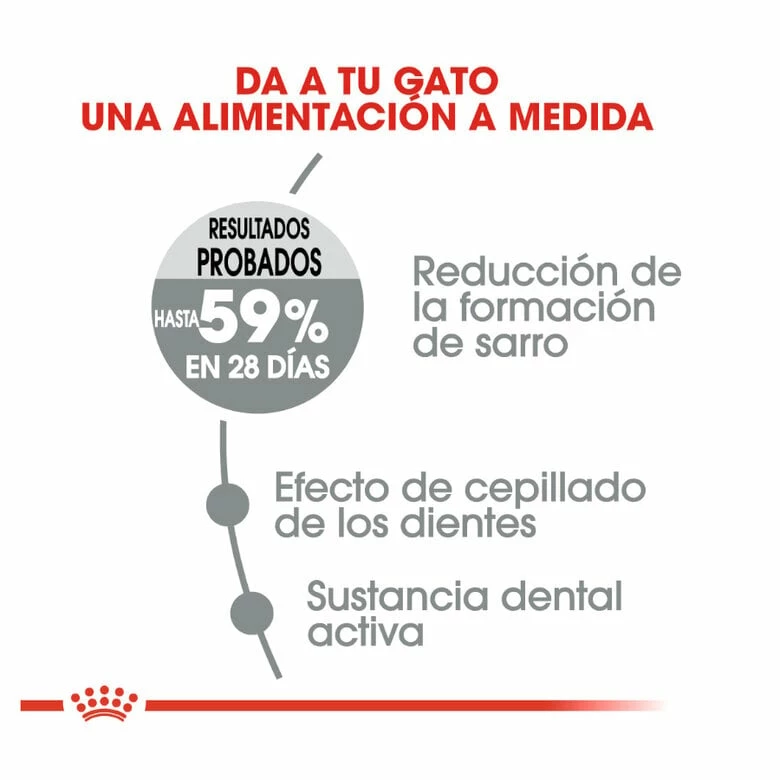 Royal Canin Adult Oral Pienso Para Gatos 1.5kg 5 Royal Canin Adult Oral Pienso Para Gatos 1.5kg - Imagen 5