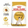 Royal Canin Adult Siamese Pienso Para Gatos 2 Kg