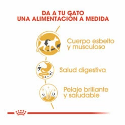 Royal Canin Adult Siamese Pienso Para Gatos 2 Kg -Tienda barata Tiendanimal pienso gatos royal20canin siamese adult ROY309161 M 6