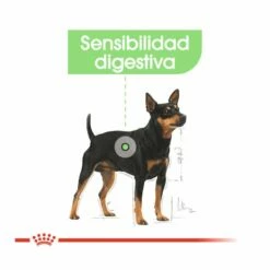 Royal Canin Digestive Care Mini Pienso Para Perros 1kg -Tienda barata Tiendanimal pienso perro royal canin digestive care ROY2447601205 1