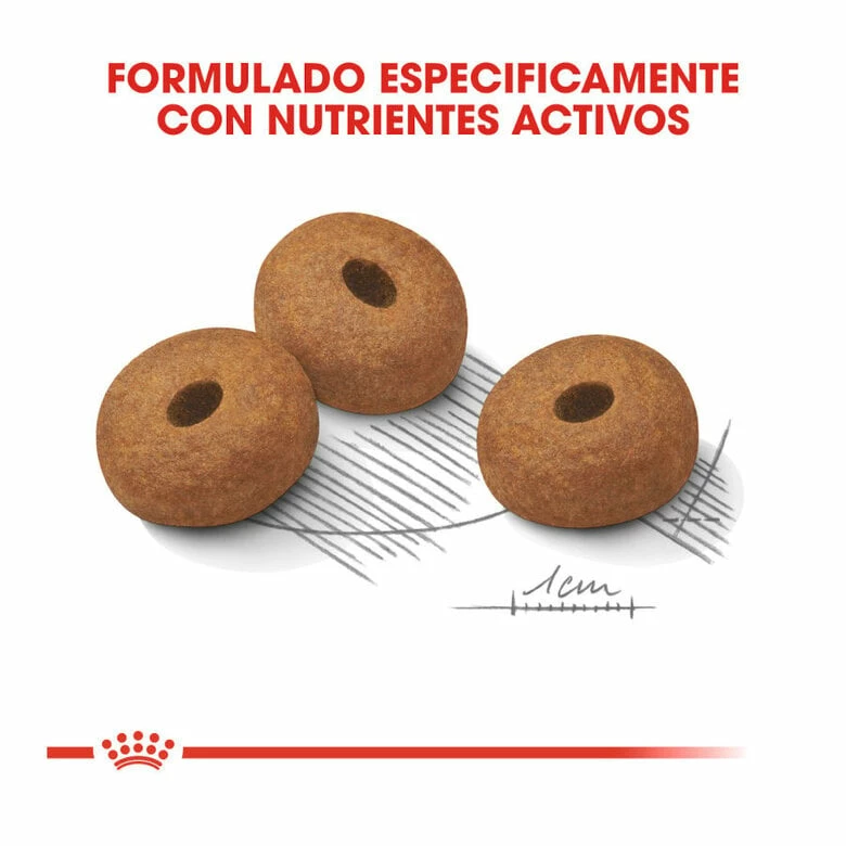 Royal Canin Light Weight Care Maxi Pienso Para Perros 3kg 4 Royal Canin Light Weight Care Maxi Pienso Para Perros 3kg - Imagen 4