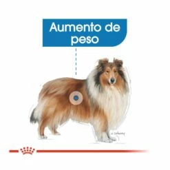 Royal Canin Light Weight Care Maxi Pienso Para Perros 3kg 10 Royal Canin Light Weight Care Maxi Pienso Para Perros 3kg -Tienda barata Tiendanimal pienso perros royal20canin 20light20weight20care maxi ROY154032 M204 1