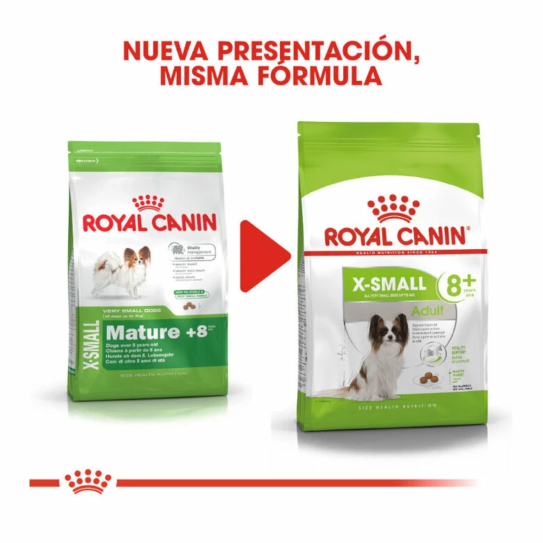 Royal Canin X-Small +8 Mature Pienso Para Perros 1.5 Kg 3 Royal Canin X-Small +8 Mature Pienso Para Perros 1.5 Kg - Imagen 3