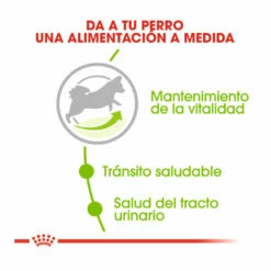 Royal Canin X-Small +8 Mature Pienso Para Perros 1.5 Kg 10 Royal Canin X-Small +8 Mature Pienso Para Perros 1.5 Kg -Tienda barata Tiendanimal pienso perros royal20canin 20x small mature208 ROY150214 M205