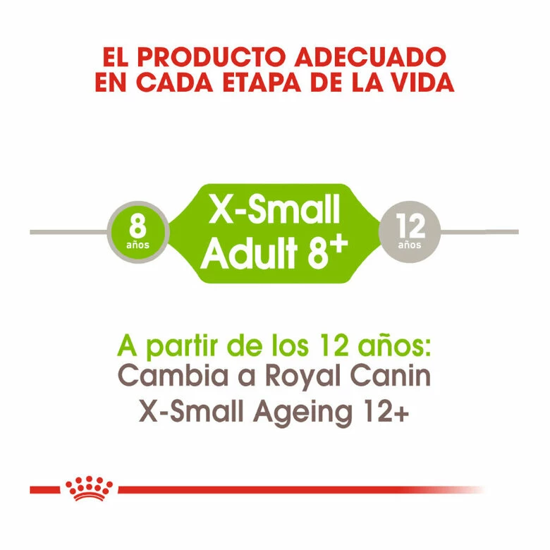 Royal Canin X-Small +8 Mature Pienso Para Perros 1.5 Kg 6 Royal Canin X-Small +8 Mature Pienso Para Perros 1.5 Kg - Imagen 6