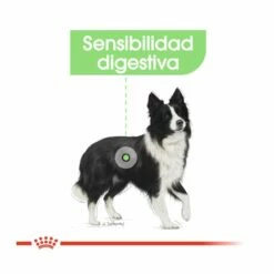 Royal Canin Digestive Care Medium Pienso Para Perros 3 Kg -Tienda barata Tiendanimal pienso perros royal20canin medium digestive20care ROY152632 M204 1