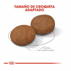Royal Canin Medium +7 Adult Pienso Para Perros 4 Kg -Tienda barata Tiendanimal pienso perros royal canin adult medium 7 ROY152270 M203