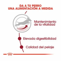 Royal Canin Medium +7 Adult Pienso Para Perros 4 Kg -Tienda barata Tiendanimal pienso perros royal canin adult medium 7 ROY152270 M204