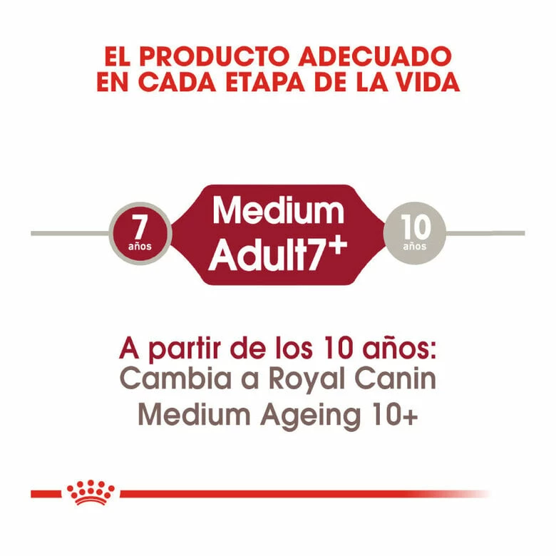 Royal Canin Medium +7 Adult Pienso Para Perros 15 Kg 6 Royal Canin Medium +7 Adult Pienso Para Perros 15 Kg - Imagen 6