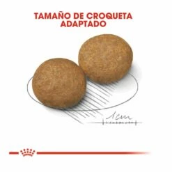 Royal Canin Medium Adult Pienso Para Perros 15kg -Tienda barata Tiendanimal pienso perros royal canin adult medium ROY152036 M204 3