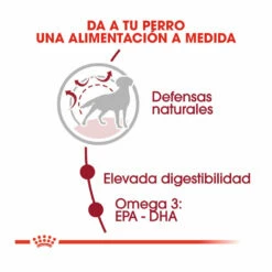 Royal Canin Medium Adult Pienso Para Perros 10kg -Tienda barata Tiendanimal pienso perros royal canin adult medium ROY152036 M205 1