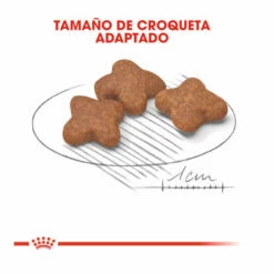 Royal Canin Mini +8 Adult Pienso Para Perros 8kg 9 Royal Canin Mini +8 Adult Pienso Para Perros 8kg -Tienda barata Tiendanimal pienso perros royal canin adult mini 8 ROY150730 M203 1