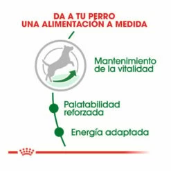 Royal Canin Mini +8 Adult Pienso Para Perros 4kg -Tienda barata Tiendanimal pienso perros royal canin adult mini 8 ROY150730 M204 2