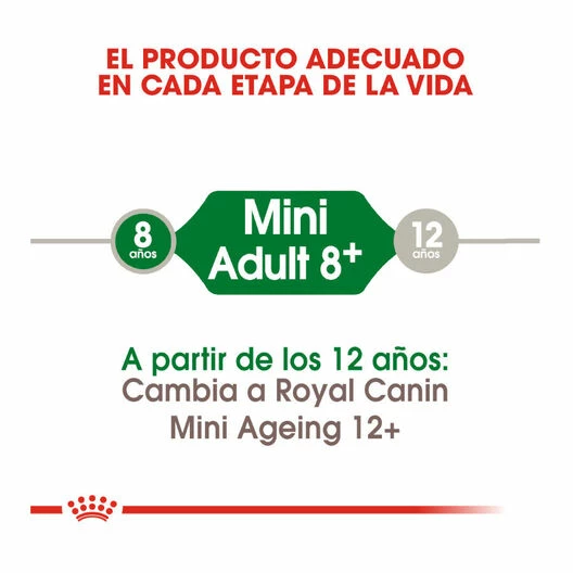 Royal Canin Mini +8 Adult Pienso Para Perros 8kg 6 Royal Canin Mini +8 Adult Pienso Para Perros 8kg - Imagen 6