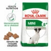 Royal Canin Mini +8 Adult Pienso Para Perros 2kg