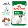 Royal Canin Mini +8 Adult Pienso Para Perros 4kg