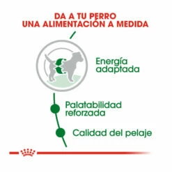 Royal Canin Mini Adult Pienso Para Perros 4kg -Tienda barata Tiendanimal pienso perros royal canin adult mini ROY150535 M202 2