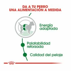 Royal Canin Mini Adult Pienso Para Perros 9kg (8kg + 1kg Gratis) -Tienda barata Tiendanimal pienso perros royal canin adult mini ROY150535 M202 3