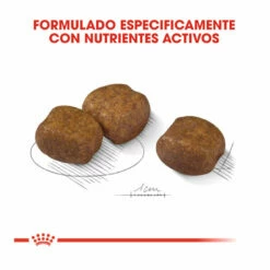 Royal Canin Dental Care Maxi Pienso Para Perros 9 Kg -Tienda barata Tiendanimal pienso perros royal canin dental care maxi ROY1223600 M203