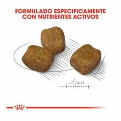 Royal Canin Dental Care Mini Pienso Para Perros 3 Kg -Tienda barata Tiendanimal pienso perros royal canin dental care mini ROY1221400 M203