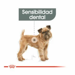Royal Canin Dental Care Mini Pienso Para Perros 3 Kg -Tienda barata Tiendanimal pienso perros royal canin dental care mini ROY1221400 M204