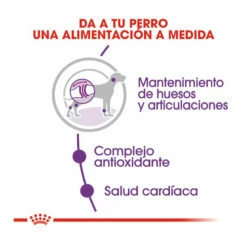 Royal Canin Giant Adult Pienso Para Perros 15kg -Tienda barata Tiendanimal pienso perros royal canin giant adult ROY155171 M 4