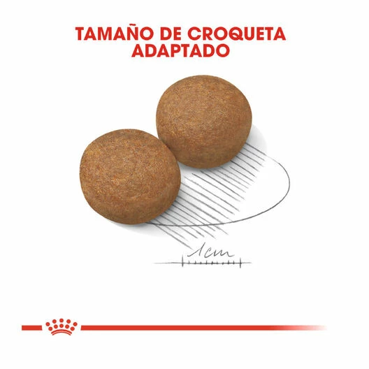 Royal Canin Maxi Adult Pienso Para Perros 15 Kg 4 Royal Canin Maxi Adult Pienso Para Perros 15 Kg - Imagen 4