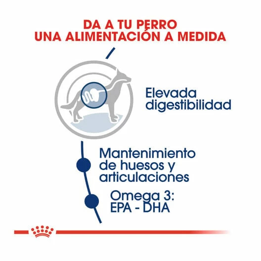 Royal Canin Maxi Adult Pienso Para Perros 15 Kg 5 Royal Canin Maxi Adult Pienso Para Perros 15 Kg - Imagen 5